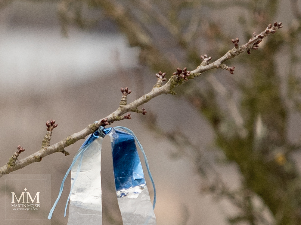Proužek plastové folie připevněný k větvičce stromu. Fotografie vytvořená objektivem Olympus M. Zuiko digital ED 40 - 150 mm 1:2.8 PRO.